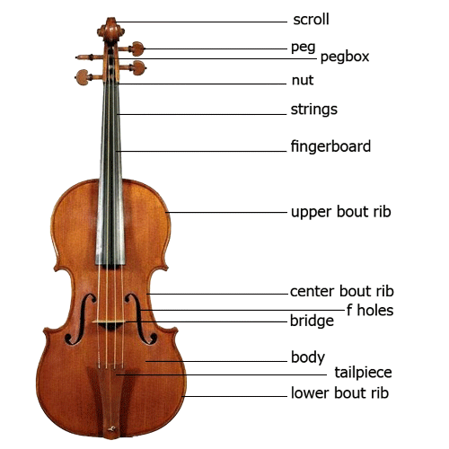 Violin - Sazkhane Tehran