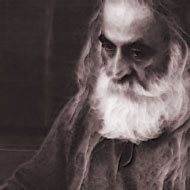 mohamadreza-lotfi[190tar]